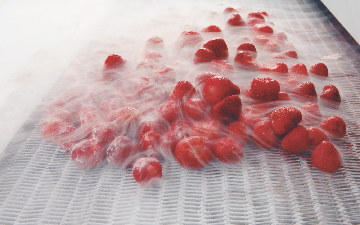 Strawberries frozen to lock in freshness 