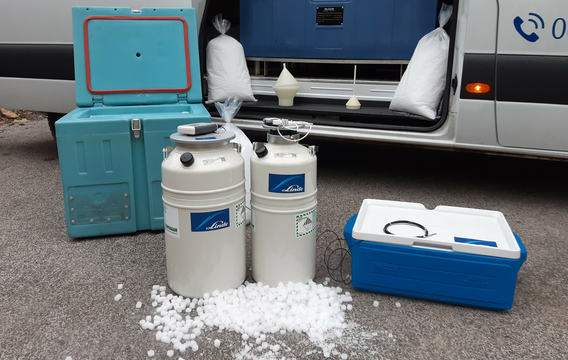 Bulk Ice, Dry Ice, Specialty Ice, Event Ice & Ice Delivery - Vessel Services