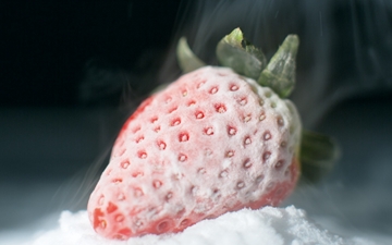Cryogenic Food Freezing | BOConline UK