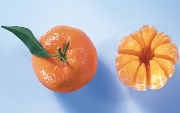 Two Fruits, mandarines Image.
