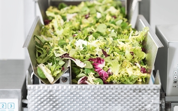 The picture is a close-up of the flowpack machine, it shows salad before it is packed with the flow pack machine. It was taken during a photoshoot in Spain.